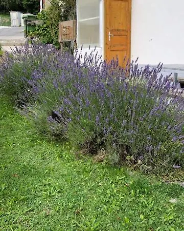 Nid D'abeilles Δωμάτια σε οικογενειακή κατοικία *