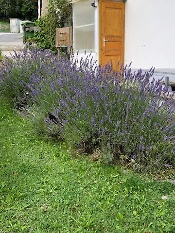 Nid D'abeilles Accommodatie bij particulieren *